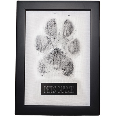 PetsToRemember.com Orlando Paw Tatto